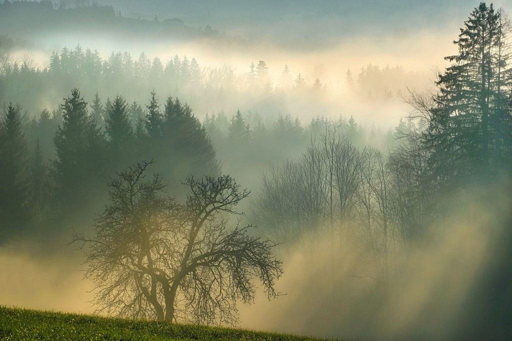 Calm mindfulness scene used for EMDR